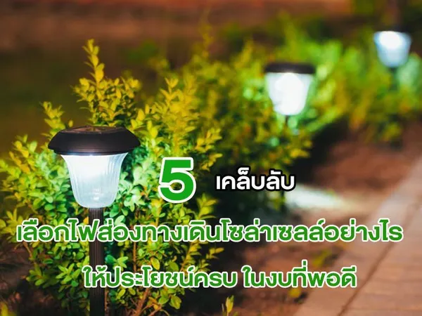 5 เคล็บลับ เลือก ไฟส่องทางเดินโซล่าเซลล์ อย่างไร ให้ประโยชน์ครบ ในงบที่พอดี
