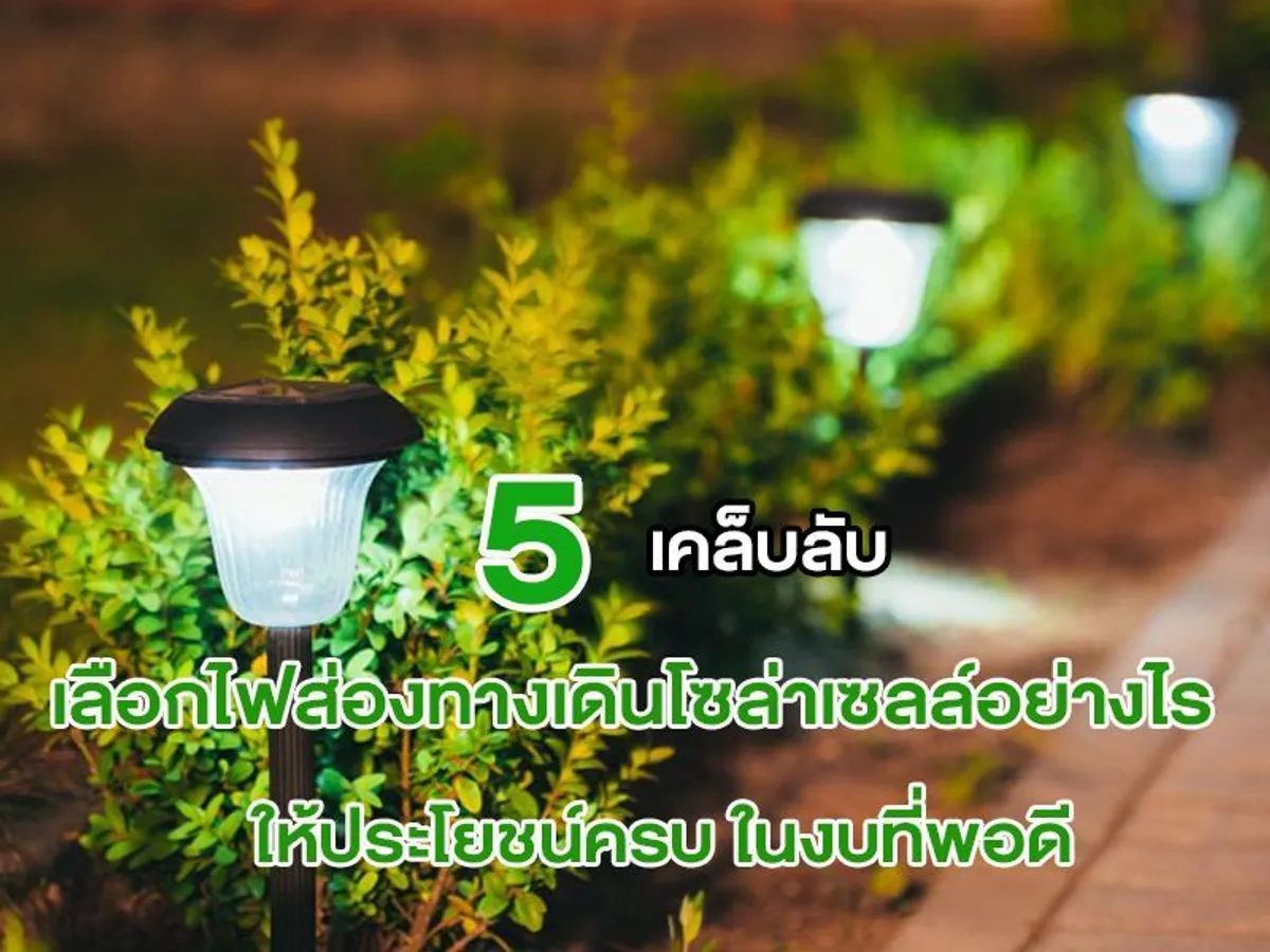 5 เคล็บลับ เลือก ไฟส่องทางเดินโซล่าเซลล์ อย่างไร ให้ประโยชน์ครบ ในงบที่พอดี