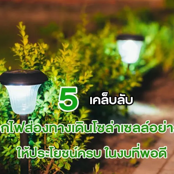 5 เคล็บลับ เลือก ไฟส่องทางเดินโซล่าเซลล์ อย่างไร ให้ประโยชน์ครบ ในงบที่พอดี