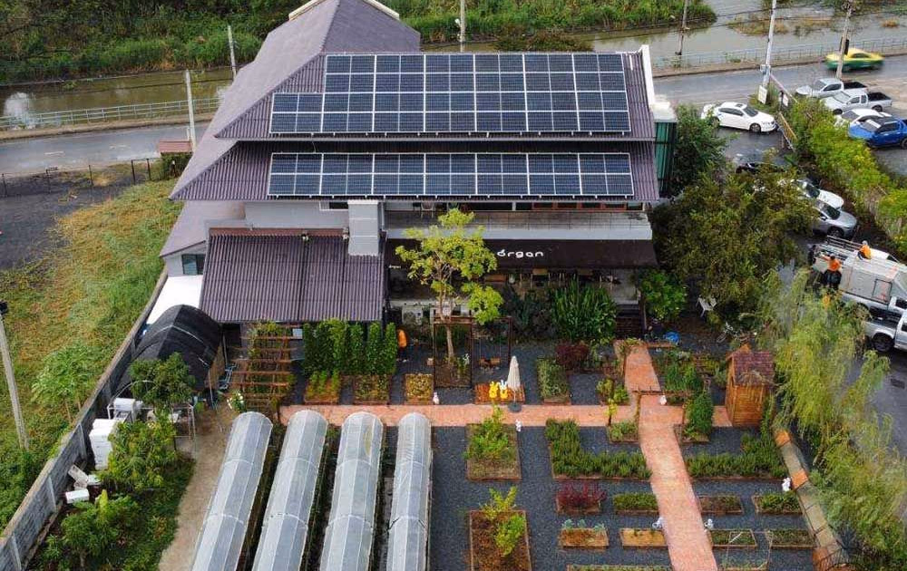 OrGan Farm