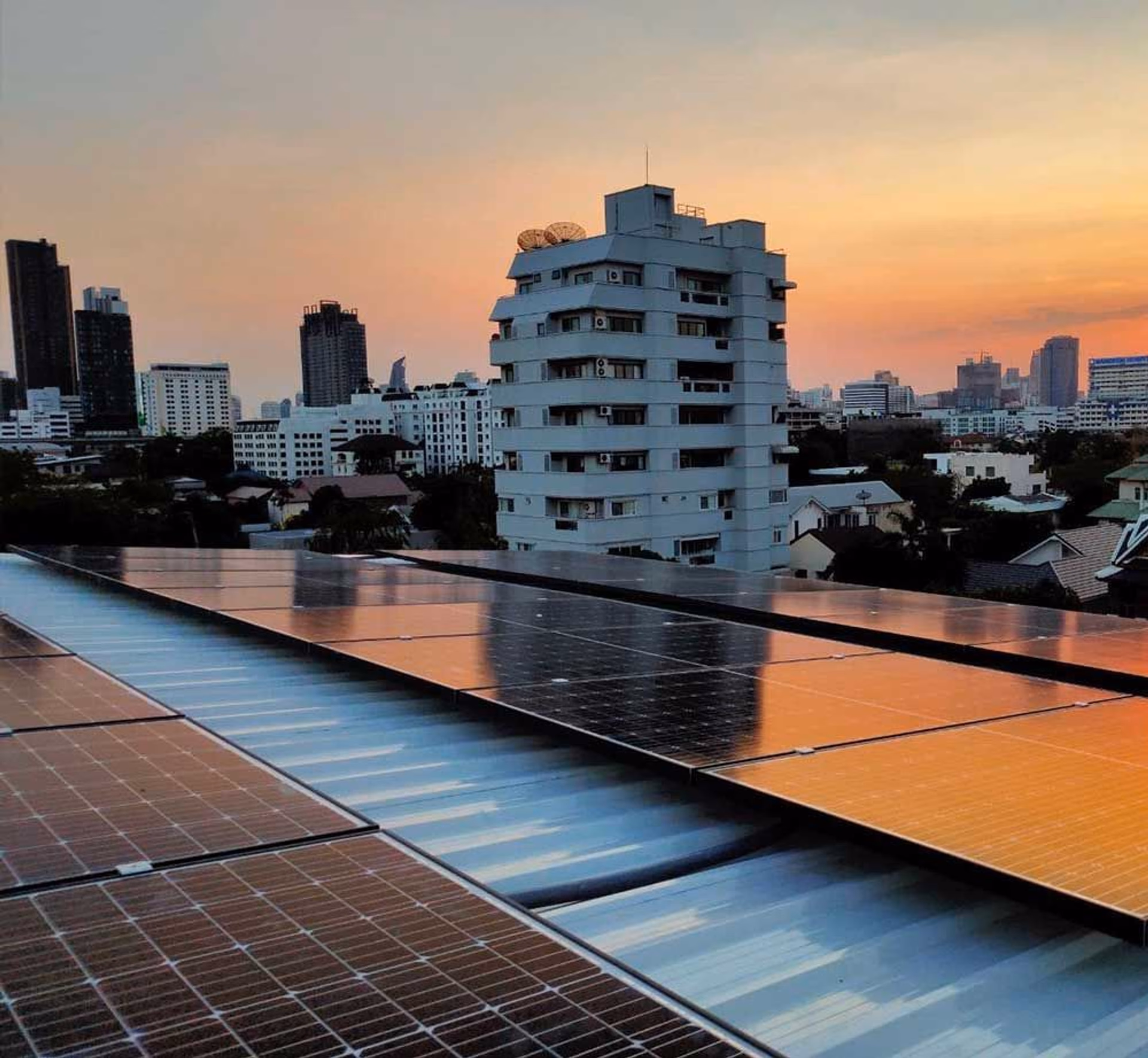 ภาพปกโครงการ คุณชาลี