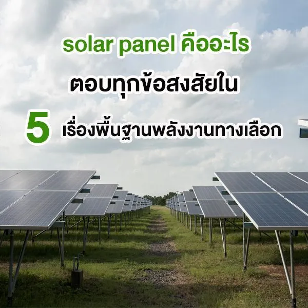 solar panel คืออะไร ตอบทุกข้อสงสัยใน 5 เรื่องพื้นฐานพลังงานทางเลือก